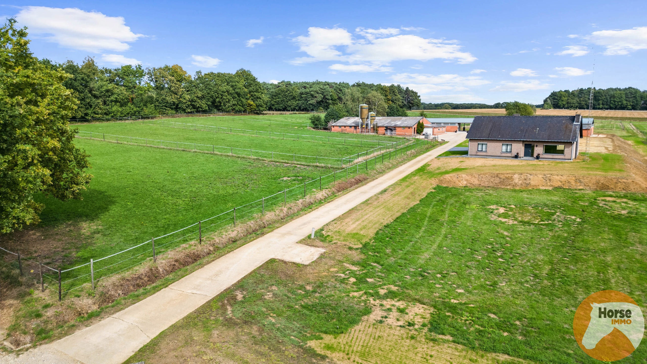 SCHAFFEN - Landbouwwoning op +/- 4,2 ha en paardenstalling - foto 3