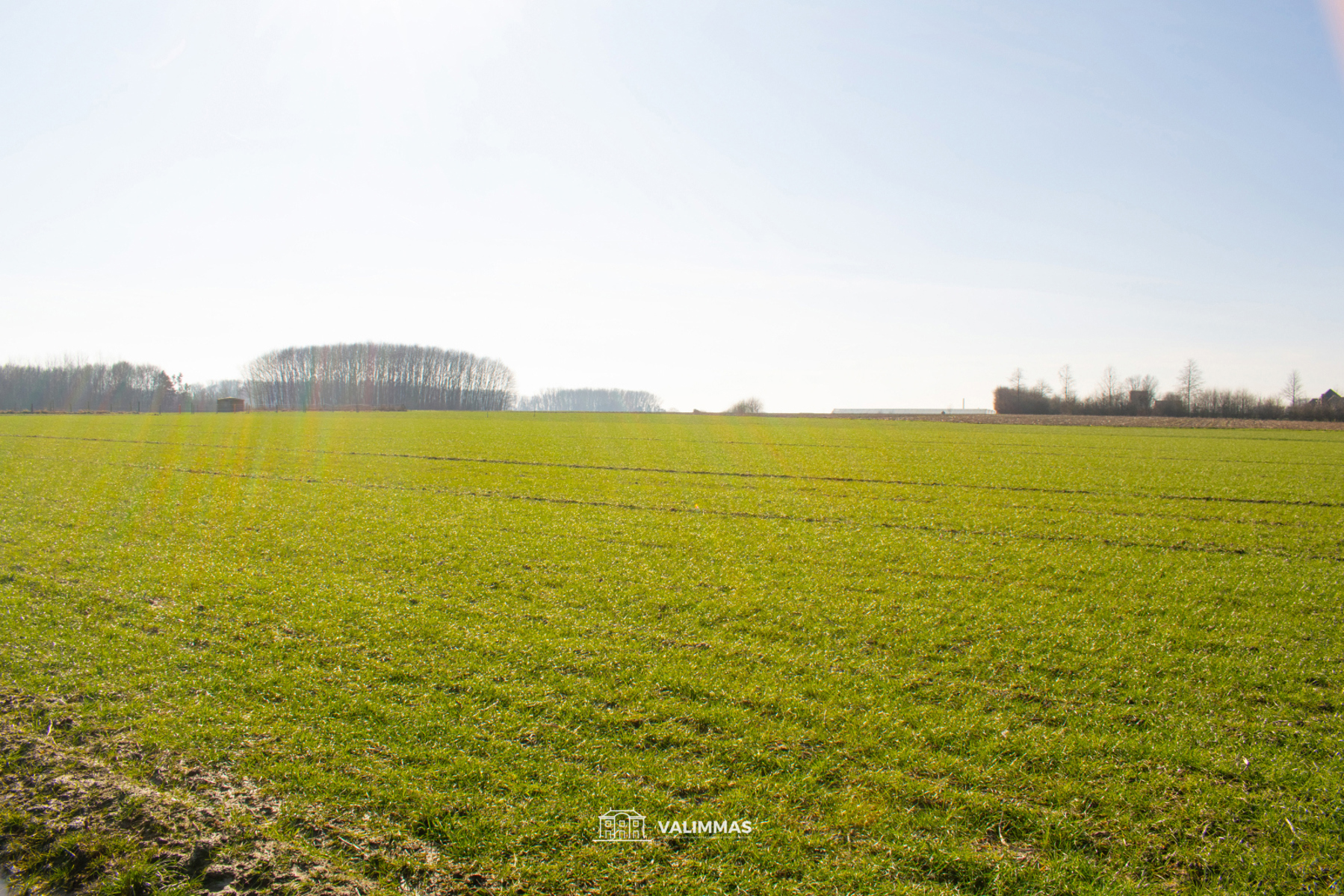 Mooi gelegen landbouwgrond, ± 35 are - foto 5