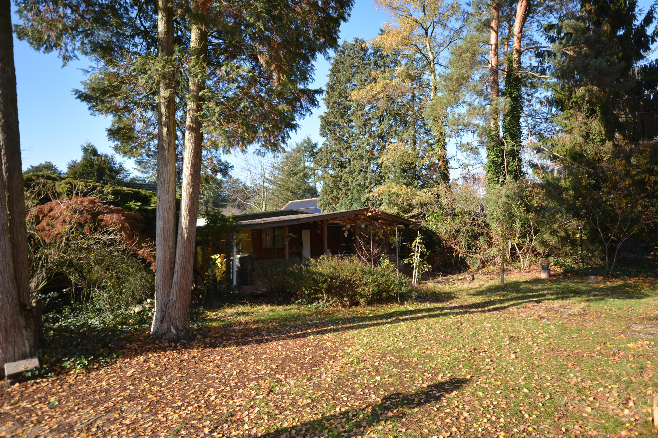 Huis te koop in Poppel met 4 slaapkamers - foto 4