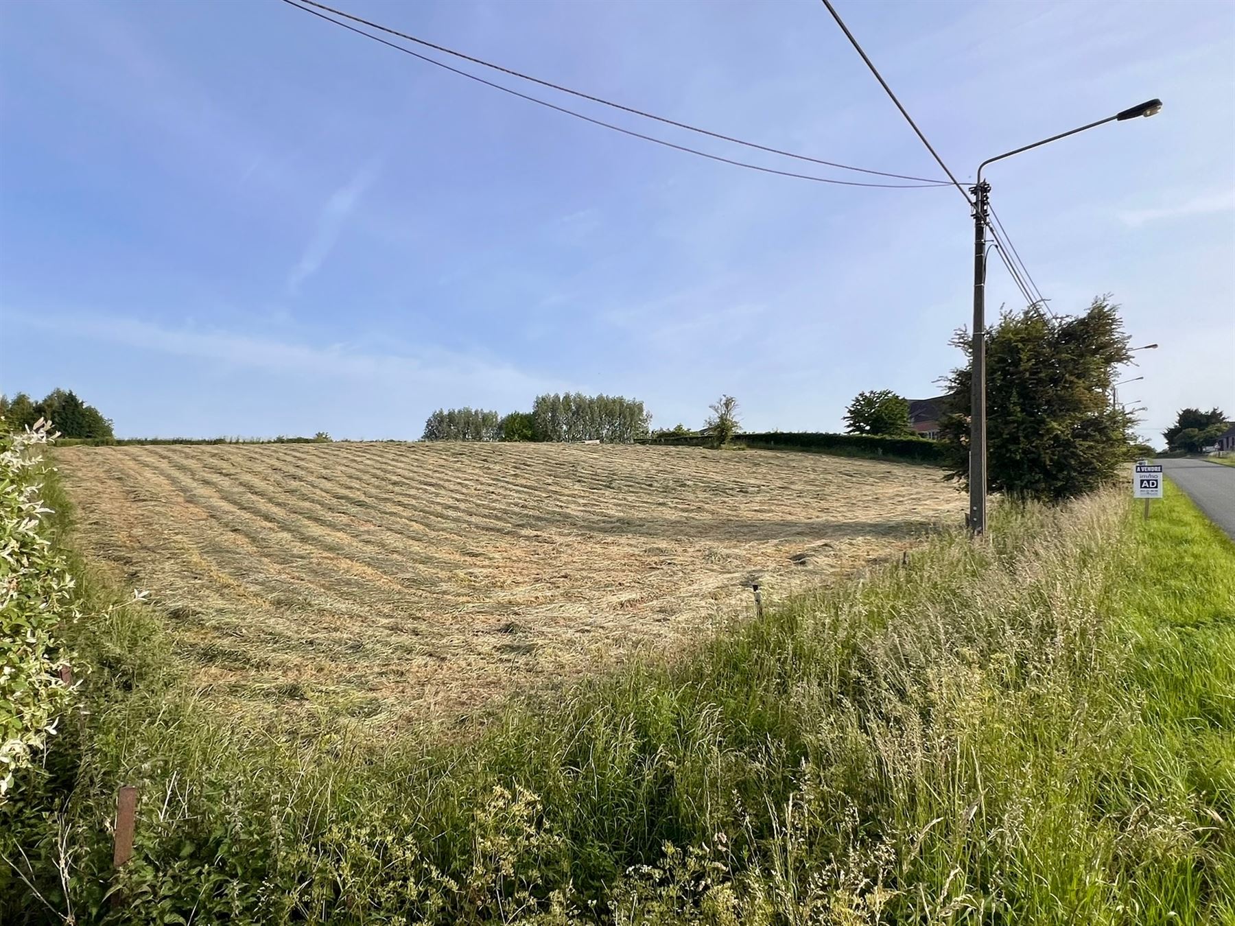 Grond deels in woongebied met landelijk karakter - foto 4