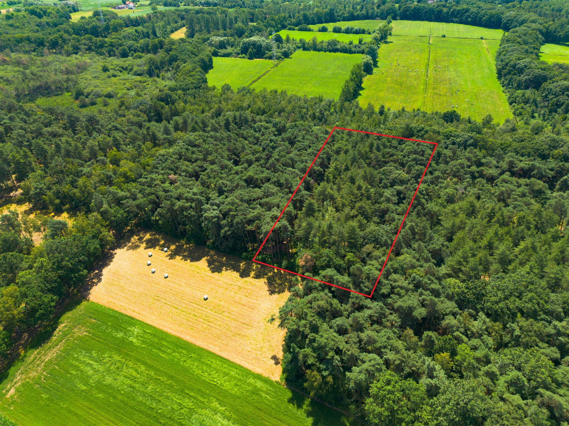 Grond te koop in Geel - foto 1