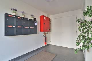 Op zoek naar een BEN-appartement met 2 slaapkamers en een ruim zuidgericht terras met zicht op het natuurgebied De Rietvelden...