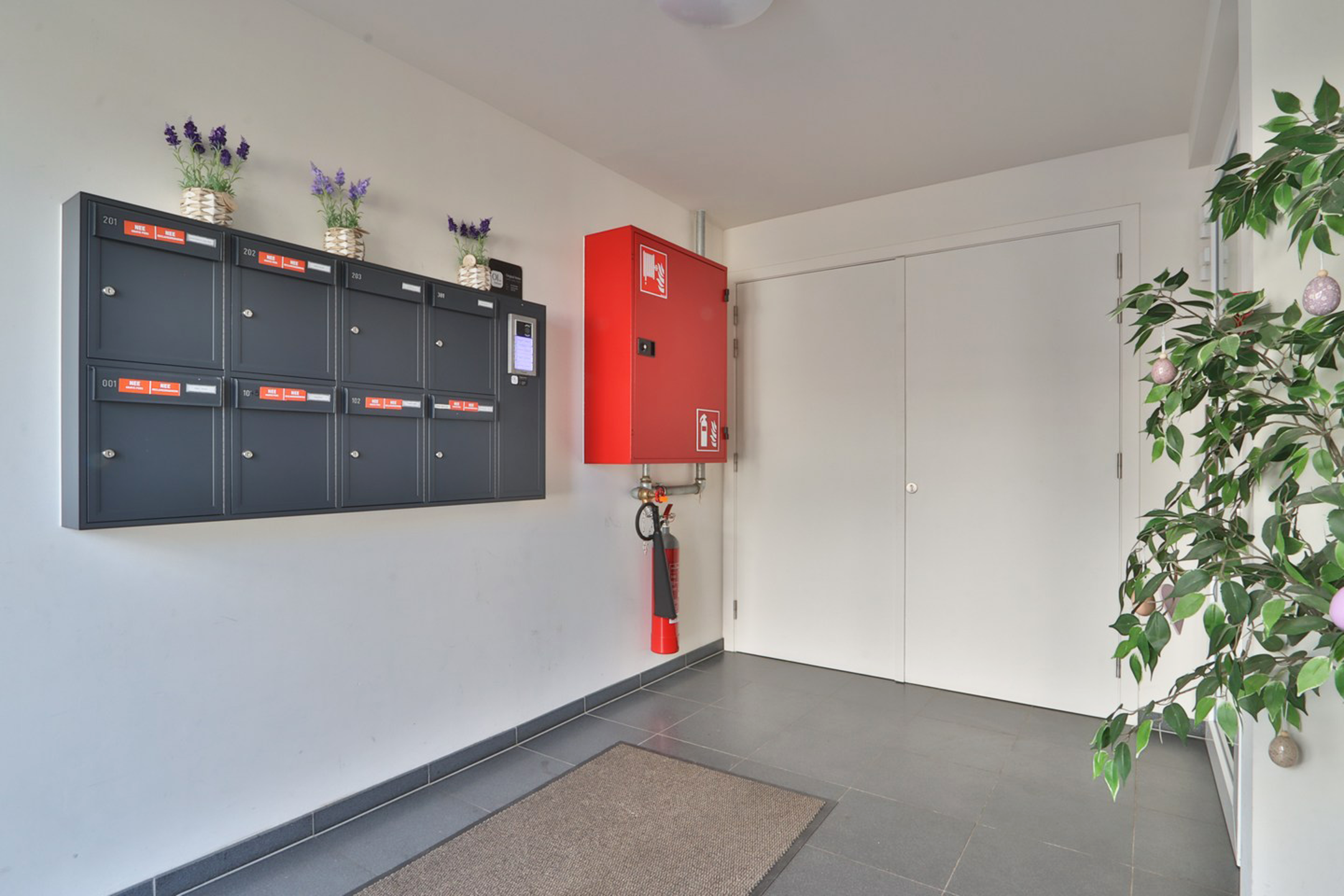 Lichtrijk 2-slpk BEN-appartement met ruim Z-terras in Kallo - foto 3