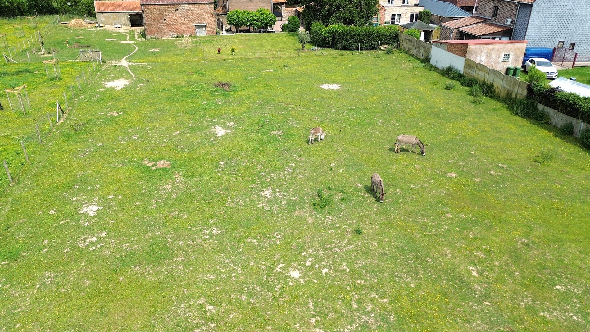 Prachtig perceel voor OPEN BEBOUWING te Kumtich - foto 3