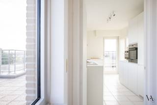 Appartement à louer à Louvain