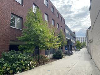 Ideaal gelegen STUDIO te huur voor studenten met een bruikbare vloeroppervlakte van 20m². De studio is gelegen op de derde verdieping en geeft uit...