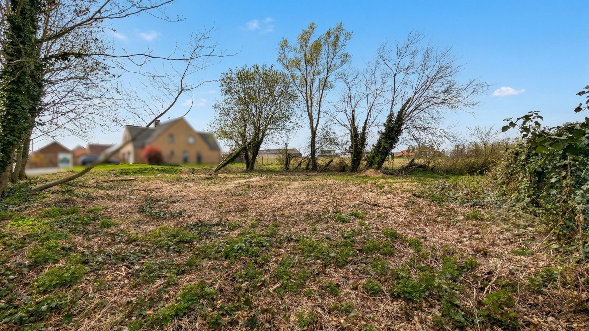 Grond te koop in Edingen - foto 1