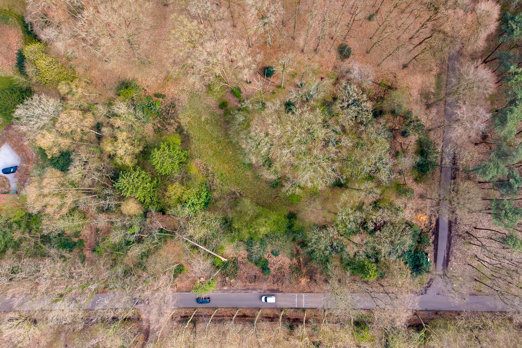 Perceel grond van ca. 10.500 m² te Brasschaat - foto 4