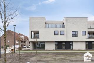 <p><strong>Prachtig ruim appartement met 3 slaapkamers en terras.<br />Residentie De Admiraliteit:</strong> Wonen in midden <strong><em>in het centrum, groen en rustig gelegen</em></strong> in een binnengebied aan een <strong><em>verkeersvrij</em></strong> park.</p>
<p>In het kerngebied van Lommel, tussen de Hees, Hezerpad, Nachtegaalstraat en Vreyshorring realiseert Aristas een prachtig woonproject &quot;Residentie De Admiraliteit&quot;.</p>
<p>Dit eigentijds woningbouwproject bestaat uit <strong><em>24 appartementen</em></strong>, steeds met ruime terrassen of tuinen en voorzien van ondergrondse parkeerplaatsen en bergingen.</p>
<ul><li>Prachtige locatie: rustig, in het groen én in het centrum</li><li>Eigentijdse architectuur</li><li>Zonnepanelen &amp; warmtepomp</li><li>BEN-woningen &amp; appartementen</li><li>E-peil kleiner of gelijk aan 30</li><li>3 slaapkamers</li><li>Terras</li></ul>
<p>De residentie is voorzien van:</p>
<p>· Gemeenschappelijke ontspanningsruimte van 60m²</p>
<p>· Ondergrondse parkings</p>
<p>· Ondergrondse fietsenstalling<br /> </p>
<p>Aankoop onder BTW-stelsel &amp; Wet Breyne: 12% op de grondwaarde &amp; 21% op het constructie-aandeel.<br /><br />Graag meer informatie over dit prachtig project?</p>
<p>Maak een afspraak via 011 550 440 of info@eratournier.be</p>