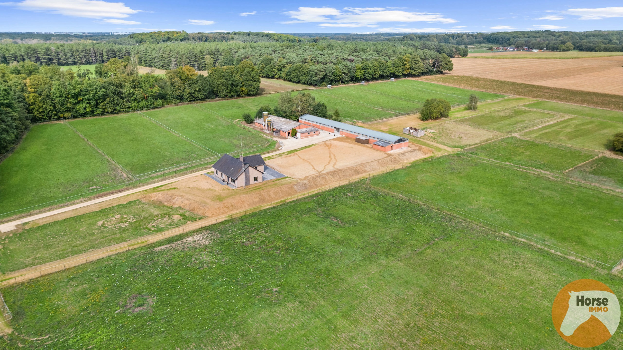 SCHAFFEN - Landbouwwoning op +/- 4,2 ha en paardenstalling - foto 4