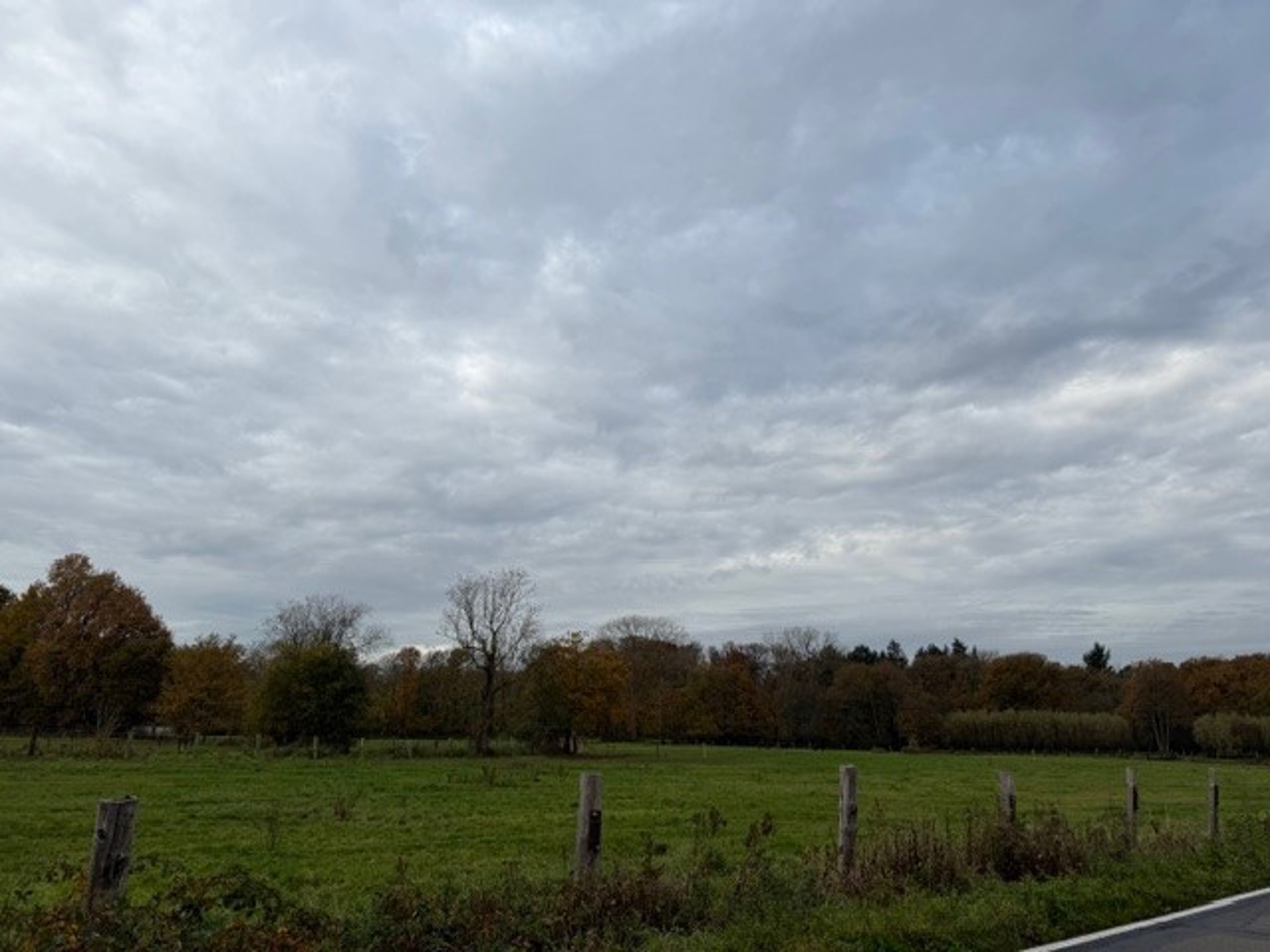 Landbouwgrond / Weide te koop – 22.359 m²! - foto 3