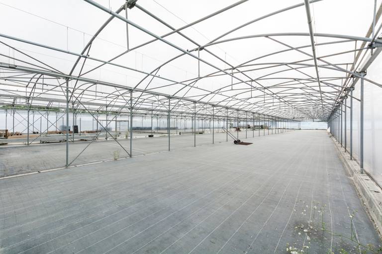 Welgelegen serrecomplex, ideaal voor agrarische activiteiten - foto 17