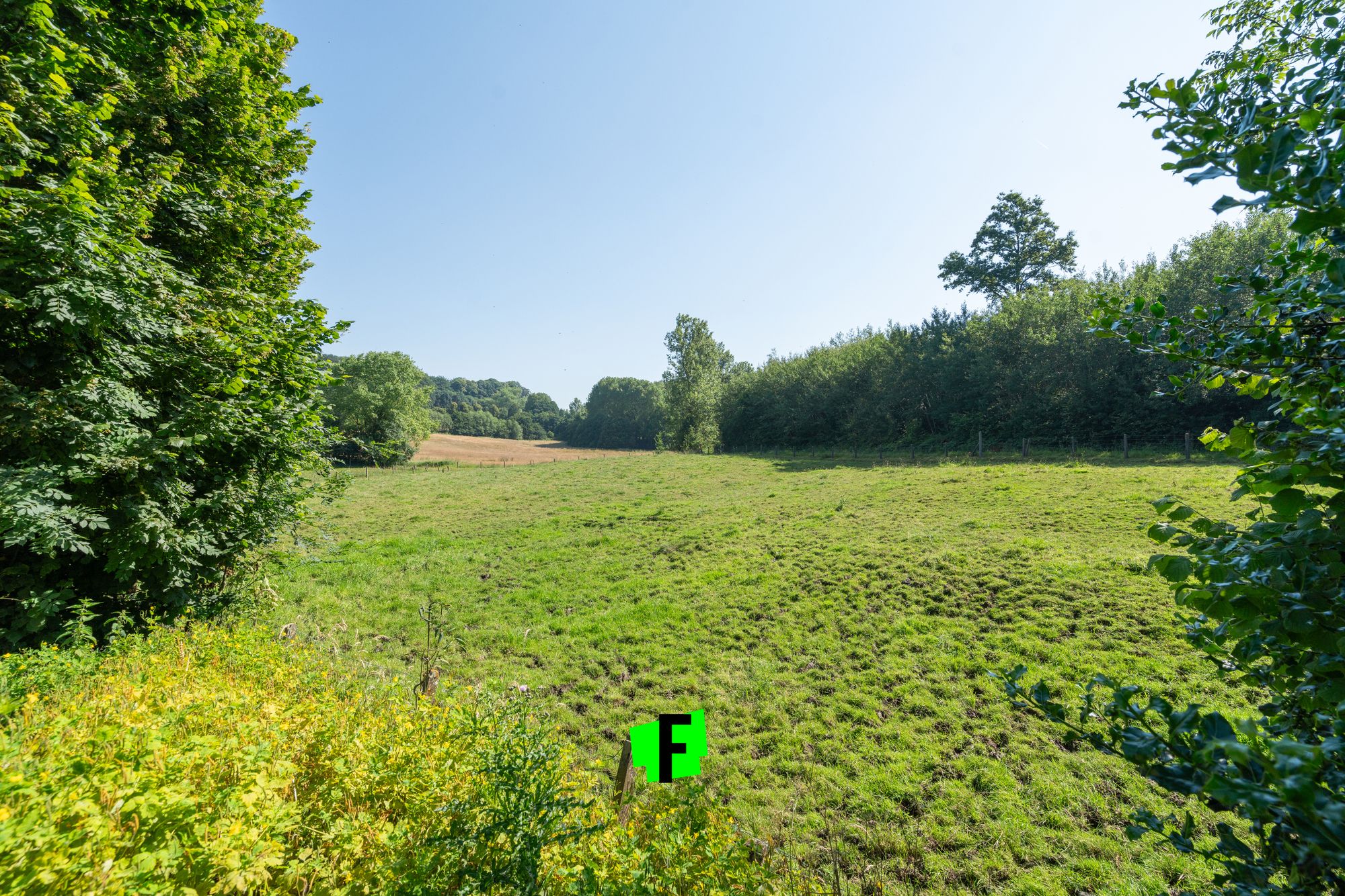 Verder af te werken woning op uiterst rustige locatie nabij Kloosterbos! - foto 5