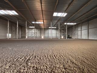 Deze ruime logistieke site in Harelbeke (kant Kortrijk) omvat 6834 m² logistieke ruimte met mogelijkheid tot 1200 m² extra kantoorruimte. Dankzij...