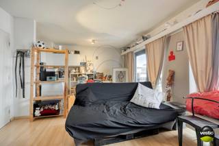 Tussen de grote en kleine ring van Hasselt, aan de Casterstraat, vindt u deze gezellige studio op de achtste verdieping! Een knus en lichtrijke...