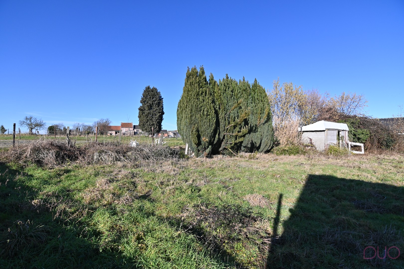 Totaal te renoveren woning op ruim perceel grond met mooi uitzicht - foto 5