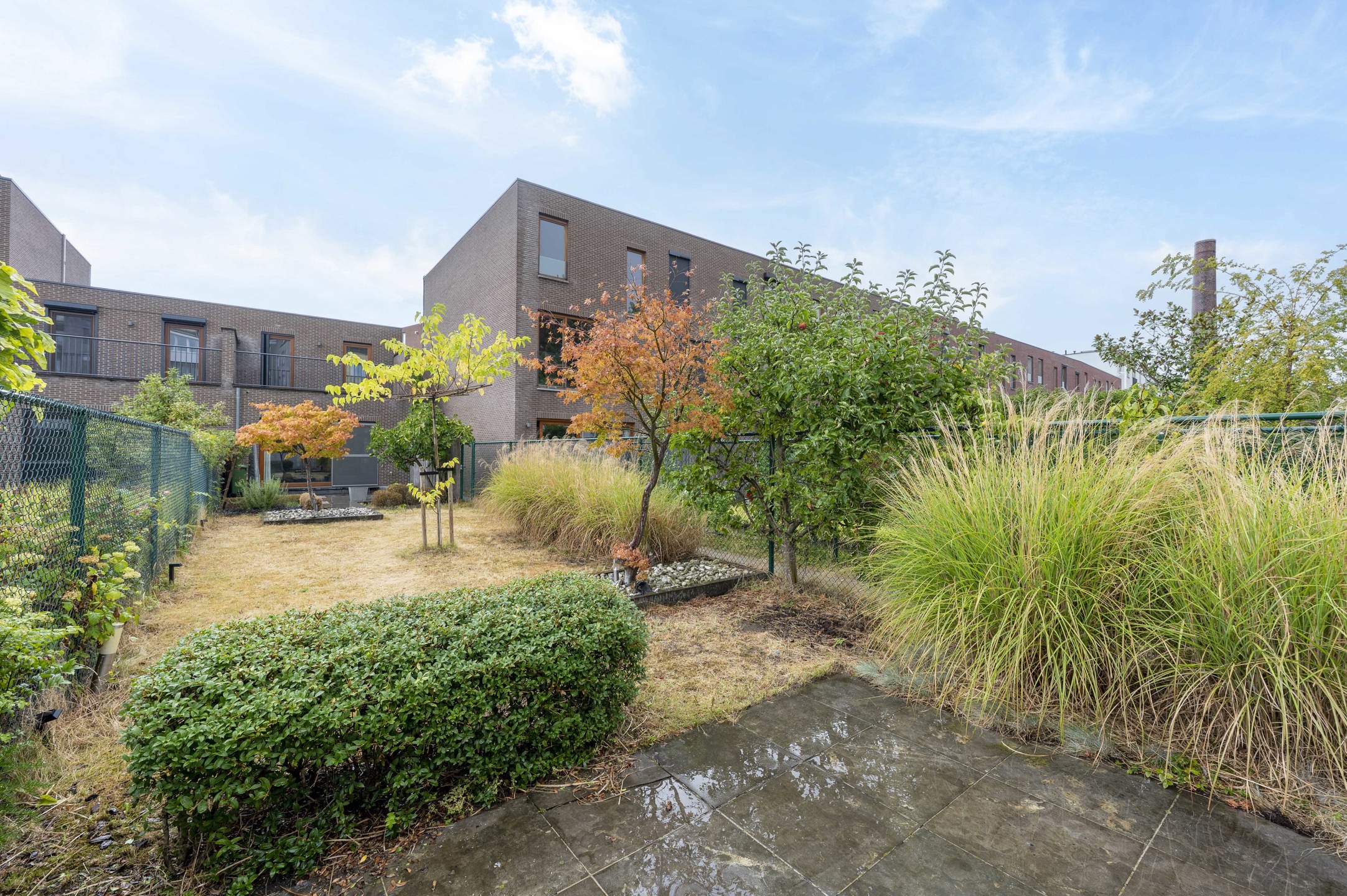 Maison à vendre à Anvers avec 3 chambres - photo 1