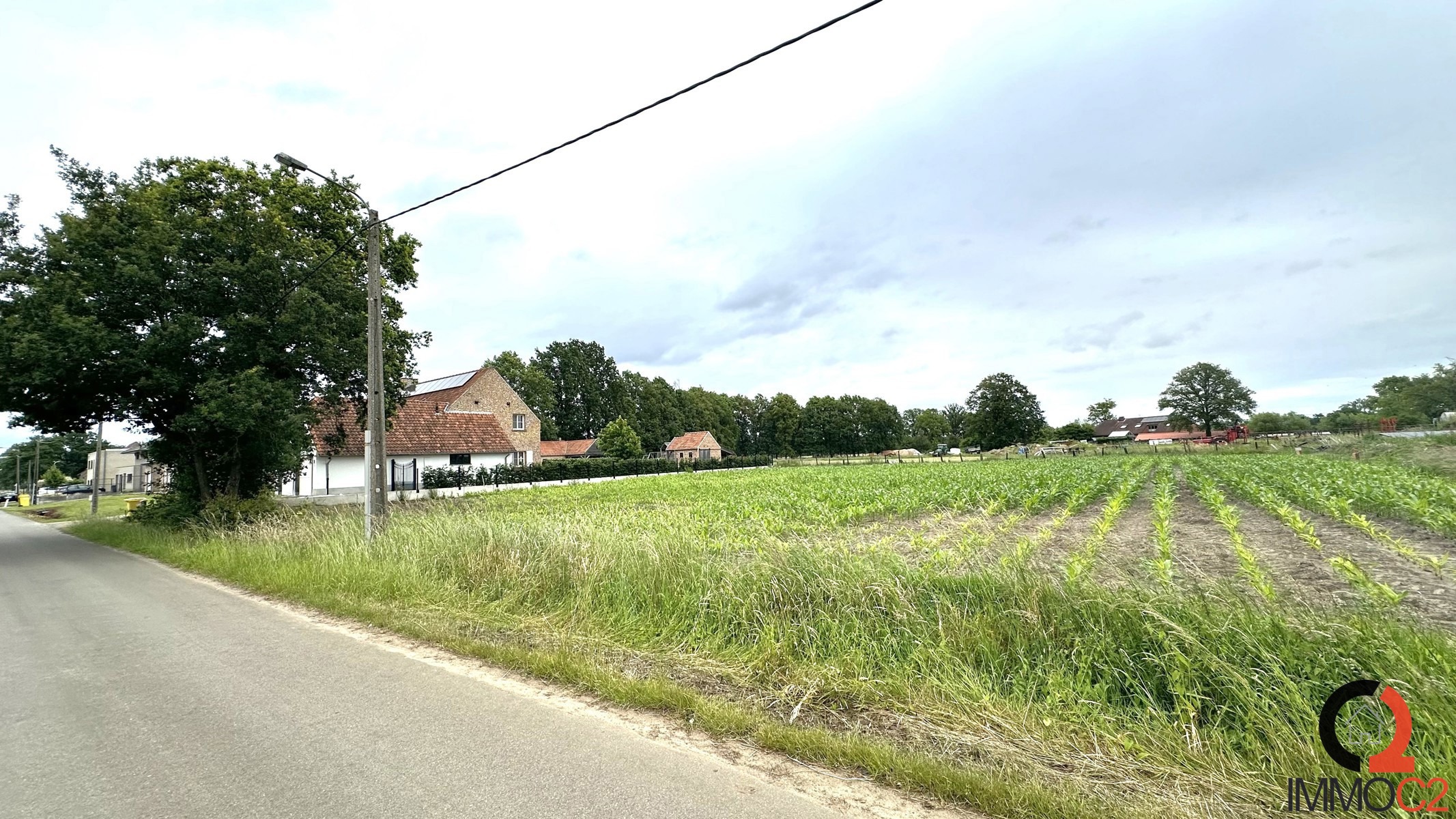 Land for sale in Balen - photo 4