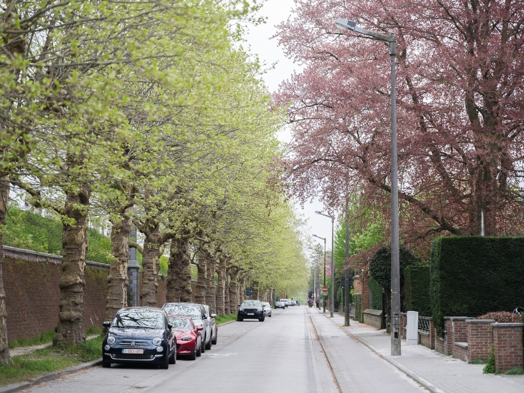 Zeldzaam aanbod - 9 studio’s en 1 appartement op een strategische ligging nabij het befaamde Miljoenenkwartier. - foto 5