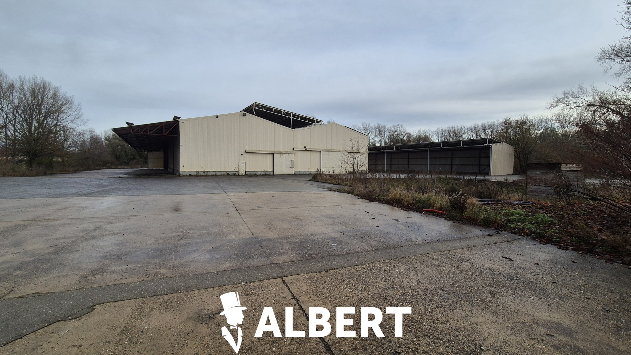 Unit 1 : gesloten en open loods - foto 5