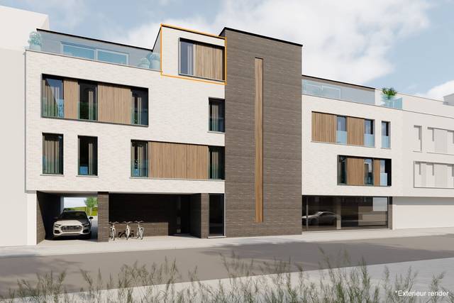 Project te koop in Heusden-Zolder
