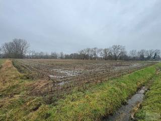 Goed gelegen landbouwgrond met opp van 12.630m² te Putte! <br /><br />Deze landbouwgrond is vrij van pacht! <br /><br />De landbouwgrond is makkelijk te bereiken en is gelegen naast een asfaltweg. <br /><br />Meer info vindt u op www.debaco.be of bel ons op 014/73.77.77