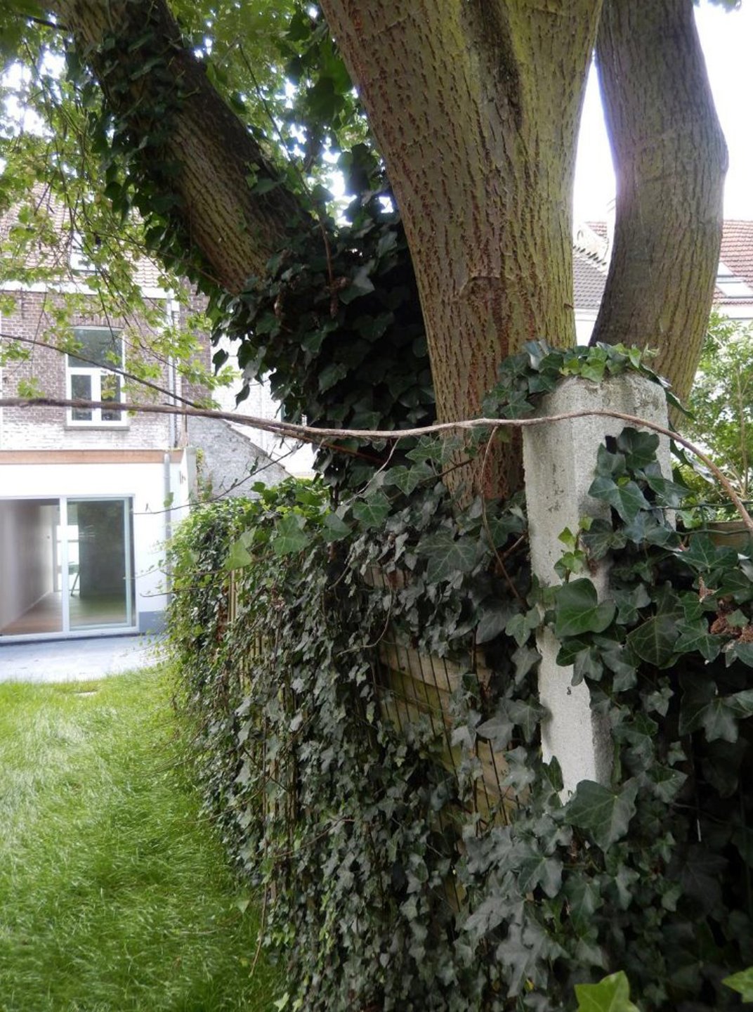 Woning met 3 slaapkamers en terras op toplocatie - foto 2