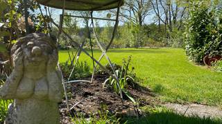 Maison à vendre à Tessenderlo-Ham