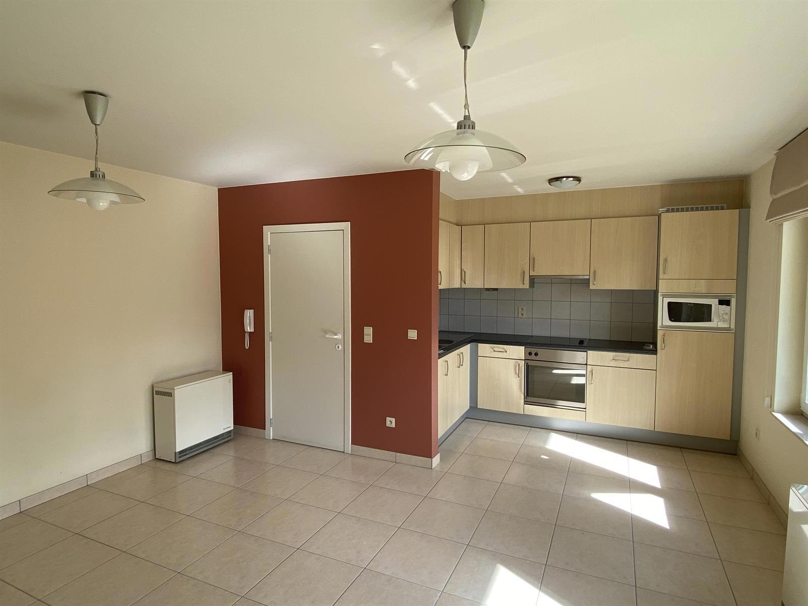 Keurig gelijkvloers appartement met grote garage - foto 2