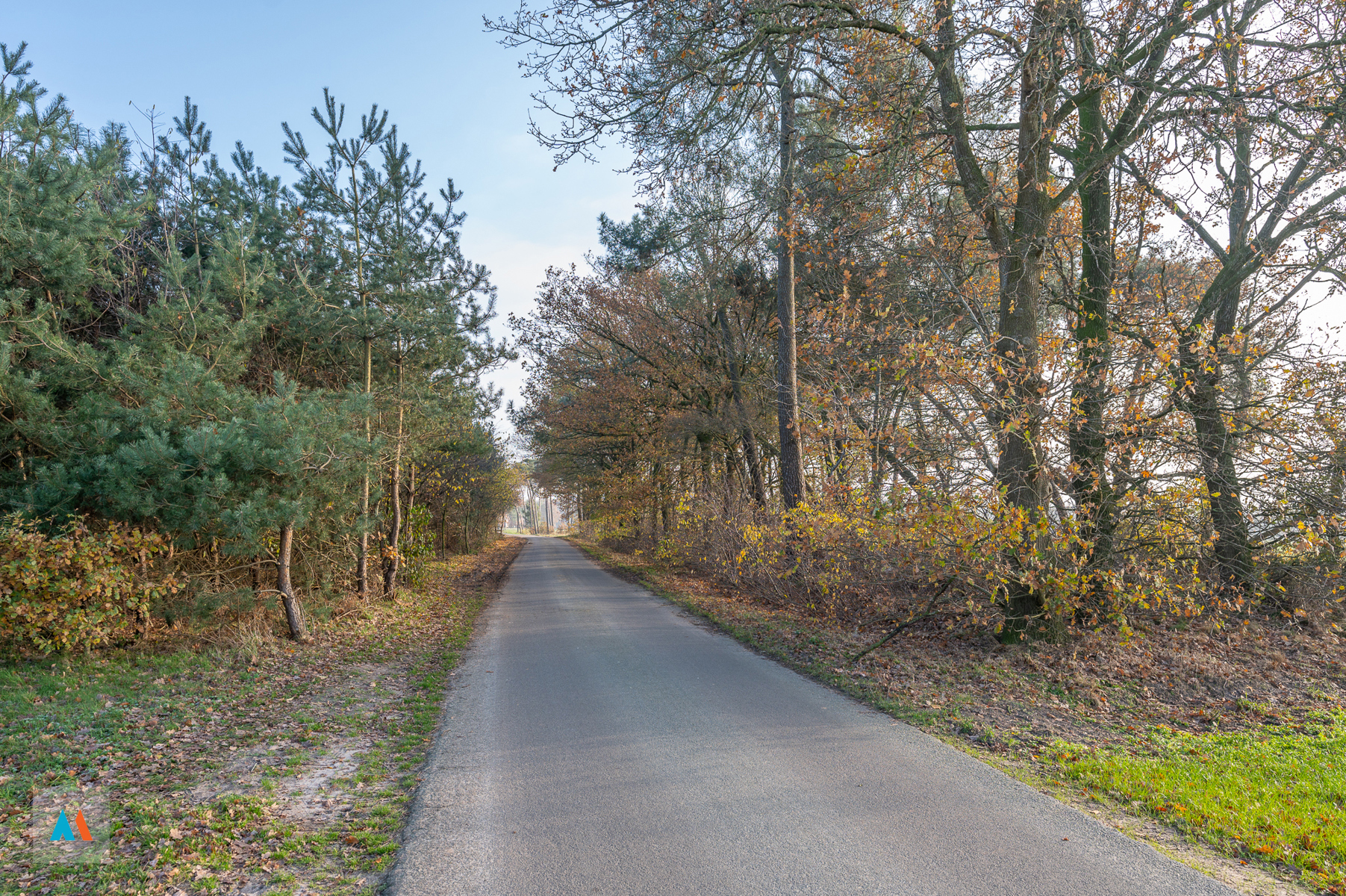 Land for sale in Minderhout - photo 4