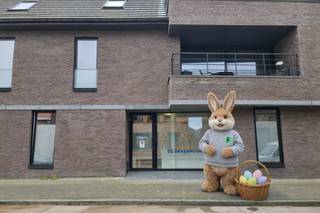 Gelegen in een zijstraat van het bruisende centrum van Zedelgem, schittert dit prachtige commerciële pand. Het pand heeft de mogelijkheid om...
