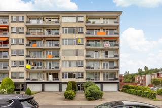 <p>Ontdek dit volledig lichtrijk gerenoveerd hoekappartement op de 4de verdieping, centraal gelegen en instapklaar. <br />De ligging is ideaal, vlakbij A12,E19 en het openbaar vervoer waardoor u snel in Antwerpen, Brussel en andere steden bent.Op loopafstand vindt u diverse winkels,supermarkten, restaurants en cafés.<br />Het betreft een ruim appartement met een oppervlakte van 135 m2 in een goed onderhouden gebouw en bereikbaar via trap of lift.<br />Vanuit de inkomhal op parket komen we in de lichte woonkamer eveneens op parket met aansluitend een terras van 13m2. Volledig vernieuwde keuken met inductievuur, combi-oven, koelkast , vaatwas en voorziening voor wasmachine.<br />Via de hal toegang tot maar liefst 4 slaapkamers en badkamer.<br />Verder nog een kelderberging.<br />Garage met sectionale poort verplicht bij aan te kopen voor 25.000 euro.<br />Elektriciteit is conform,<br />Epc label D: 314 kwh/m2 jaar , <br />Asbestveilig<br />De maandelijkse algemene kosten bedragen 333 euro/ maand. Dit is inclusief verwarming en verbruik water, kosten syndicus en aandeel kosten in de gemene delen</p>