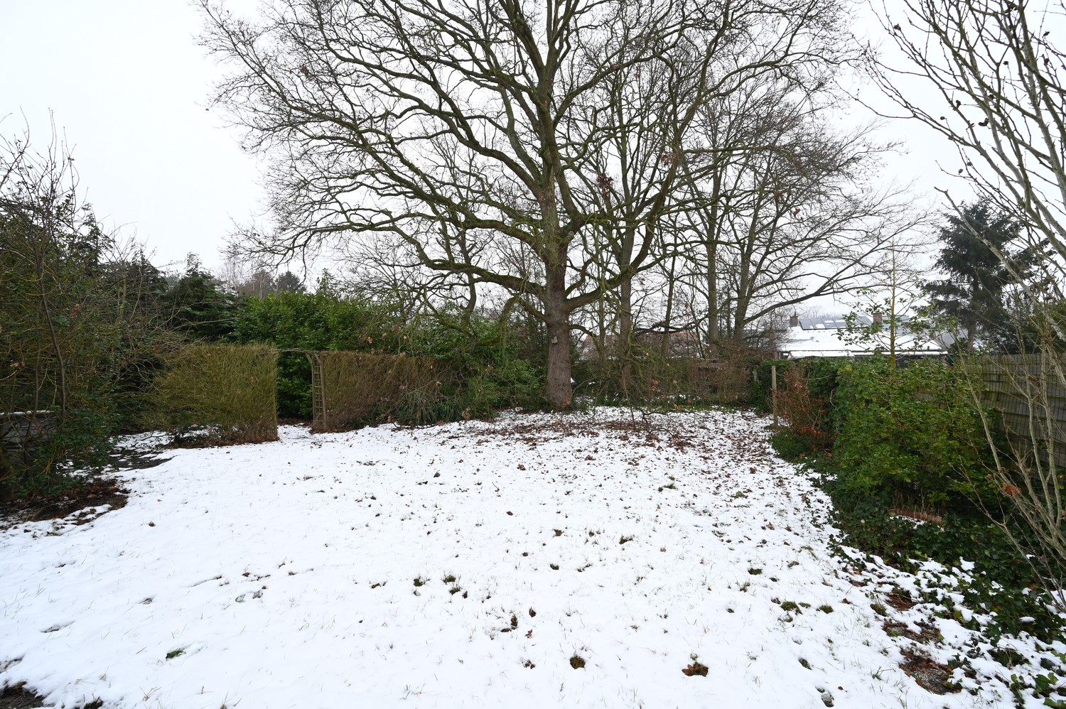 Projectgrond voor appartementen te centrum Begijnendijk. - foto 5