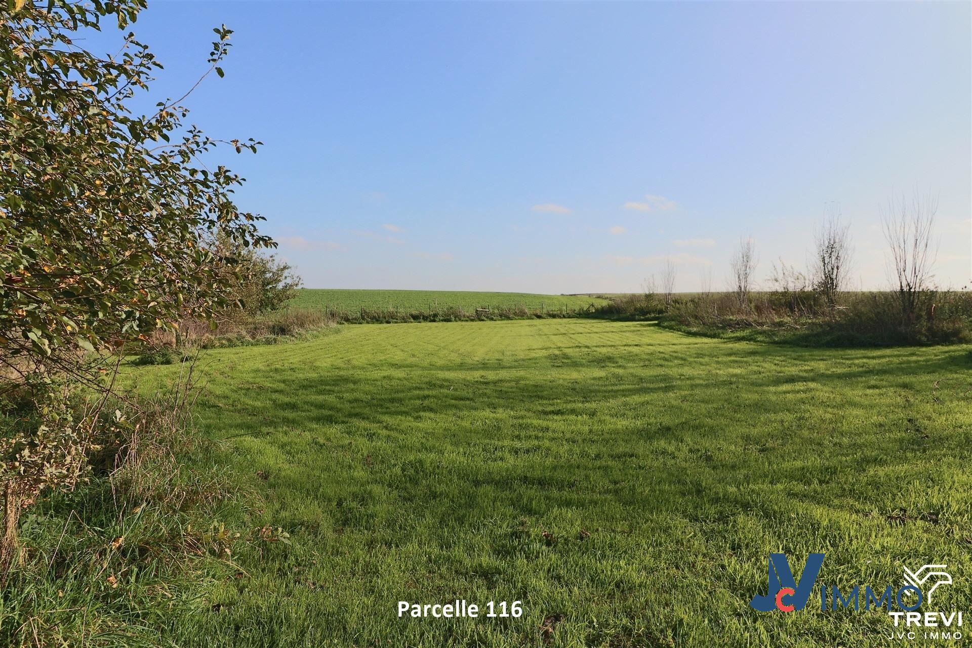 Grond te koop in Orp-Le-Grand - foto 5