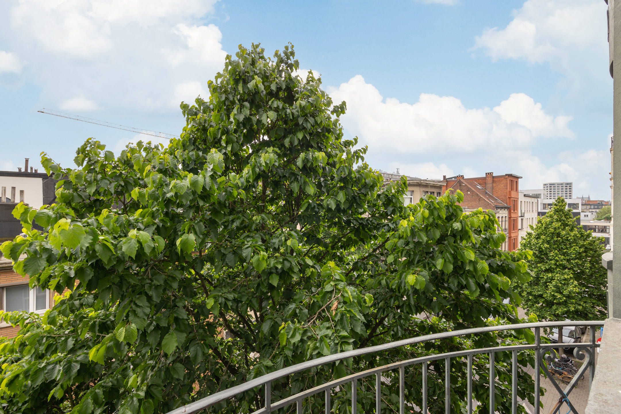 ANTWERPEN - Kleinschalige opbrengsteigendom met 8 units - foto 2
