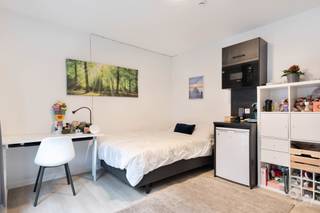 Ontdek deze moderne, gelijkvloerse studentenkamer van 23m², ideaal gelegen in de rustige villawijk van Heverlee. deze studentenkamer kan...