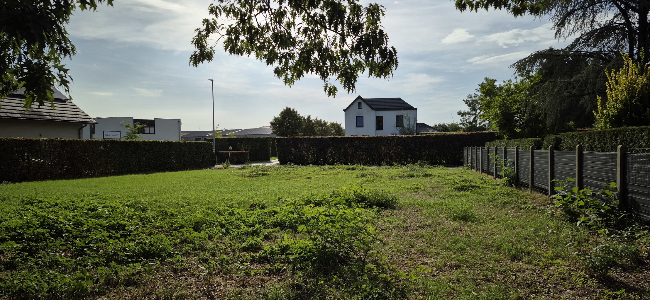 Land for sale in Arendonk - photo 5