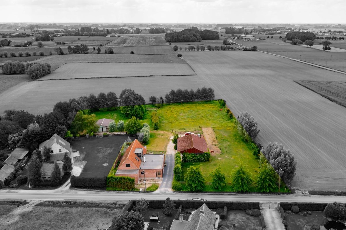 Hoeve voor kleinschalige landbouw of landbouwverbreding te koop te Lotenhulle. - foto 5