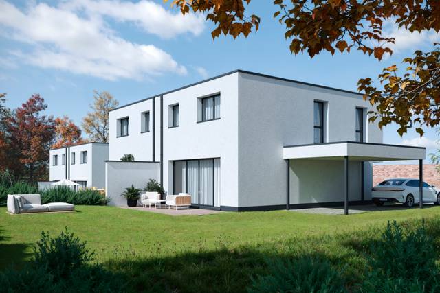 Project te koop in Zandbergen