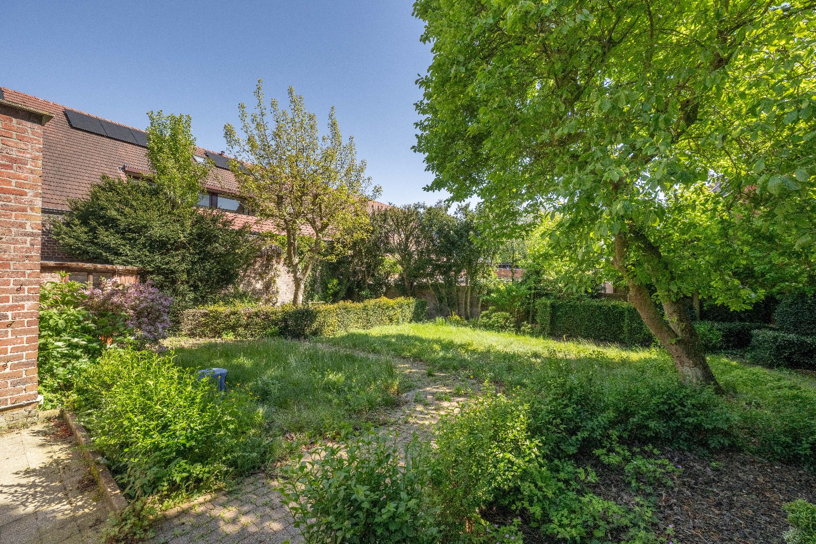 AUTHENTIEK HERENHUIS MET TUIN EN FABRIEK !!! TAL VAN MOGELIJKHEDEN !!! - foto 4