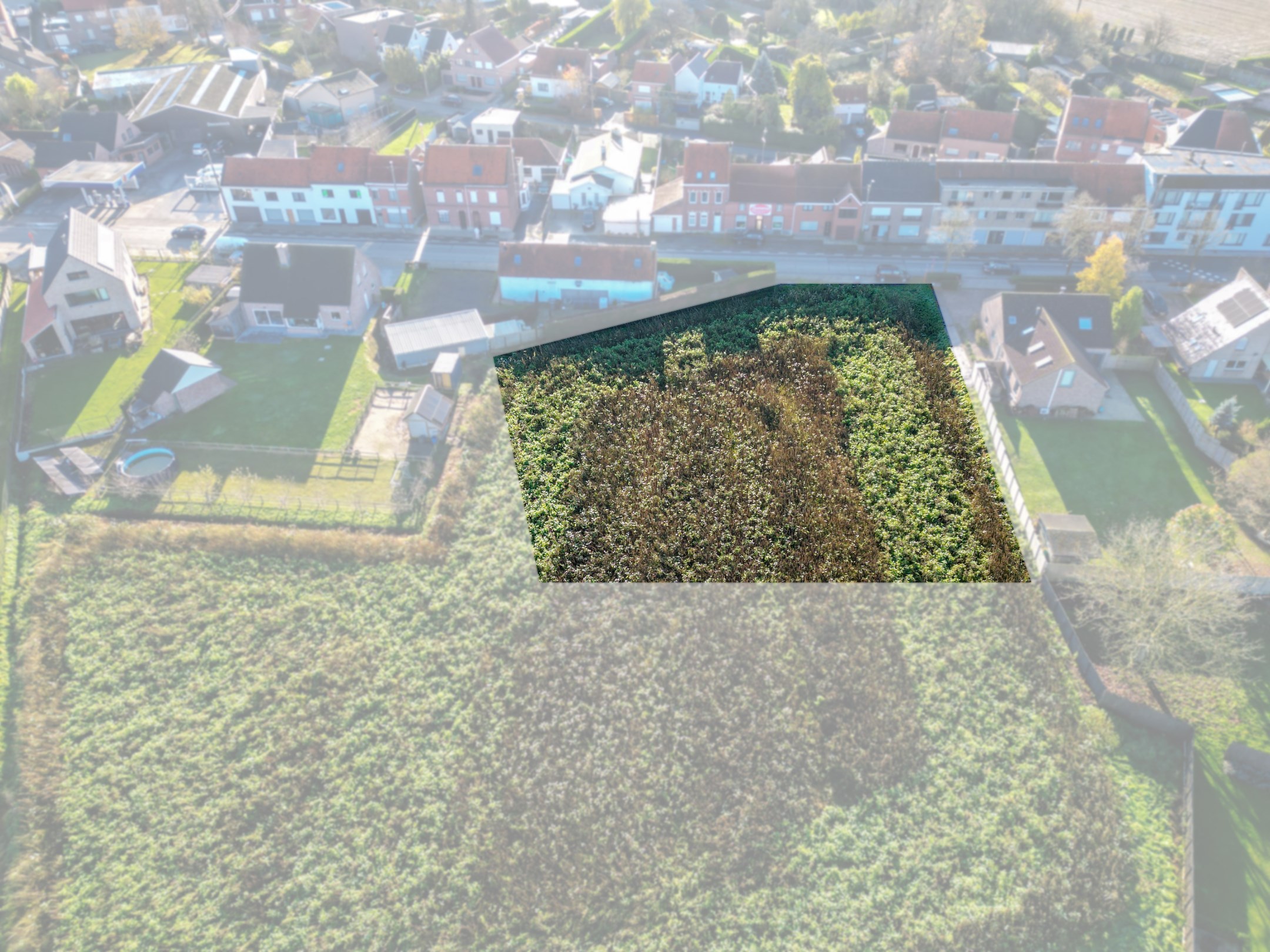 Terrain à vendre à Deerlijk - photo 5