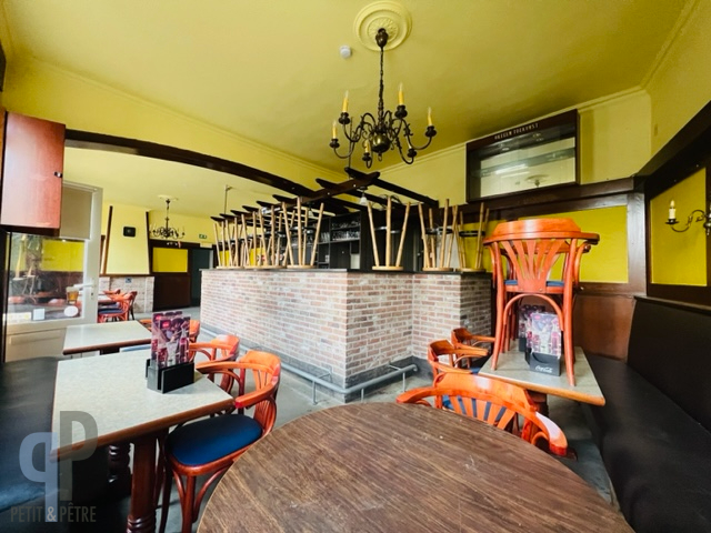 Handelspand met 5 slk, vernieuwde garage en atelierruimte - photo 4