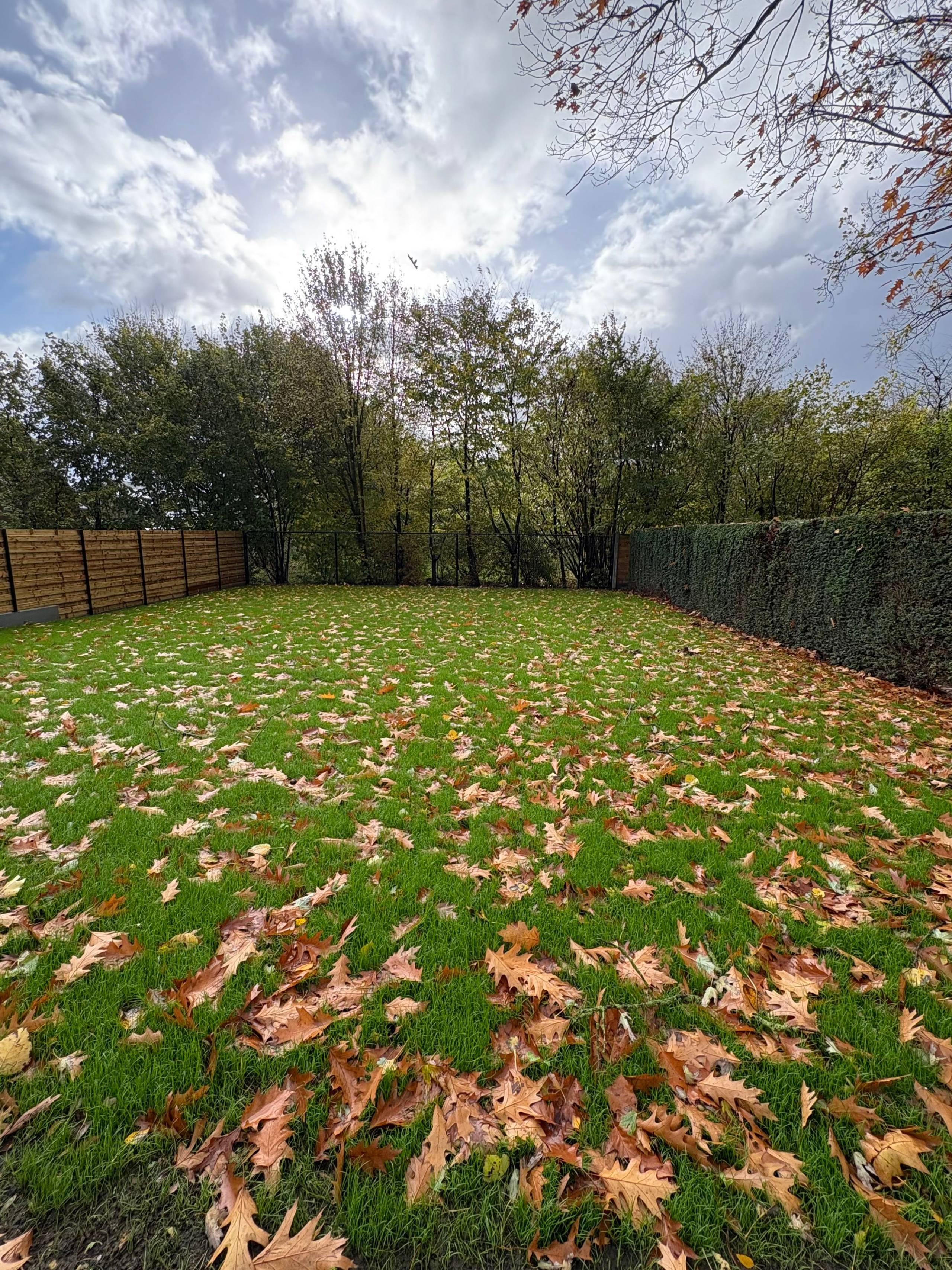 Appartement Te Huur - foto 3