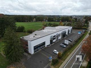 Ontdek een indrukwekkend handelsgebouw langs de verbindingsweg Diest - Tessenderlo, met een royale bruikbare oppervlakte van 1.181m². Dit...