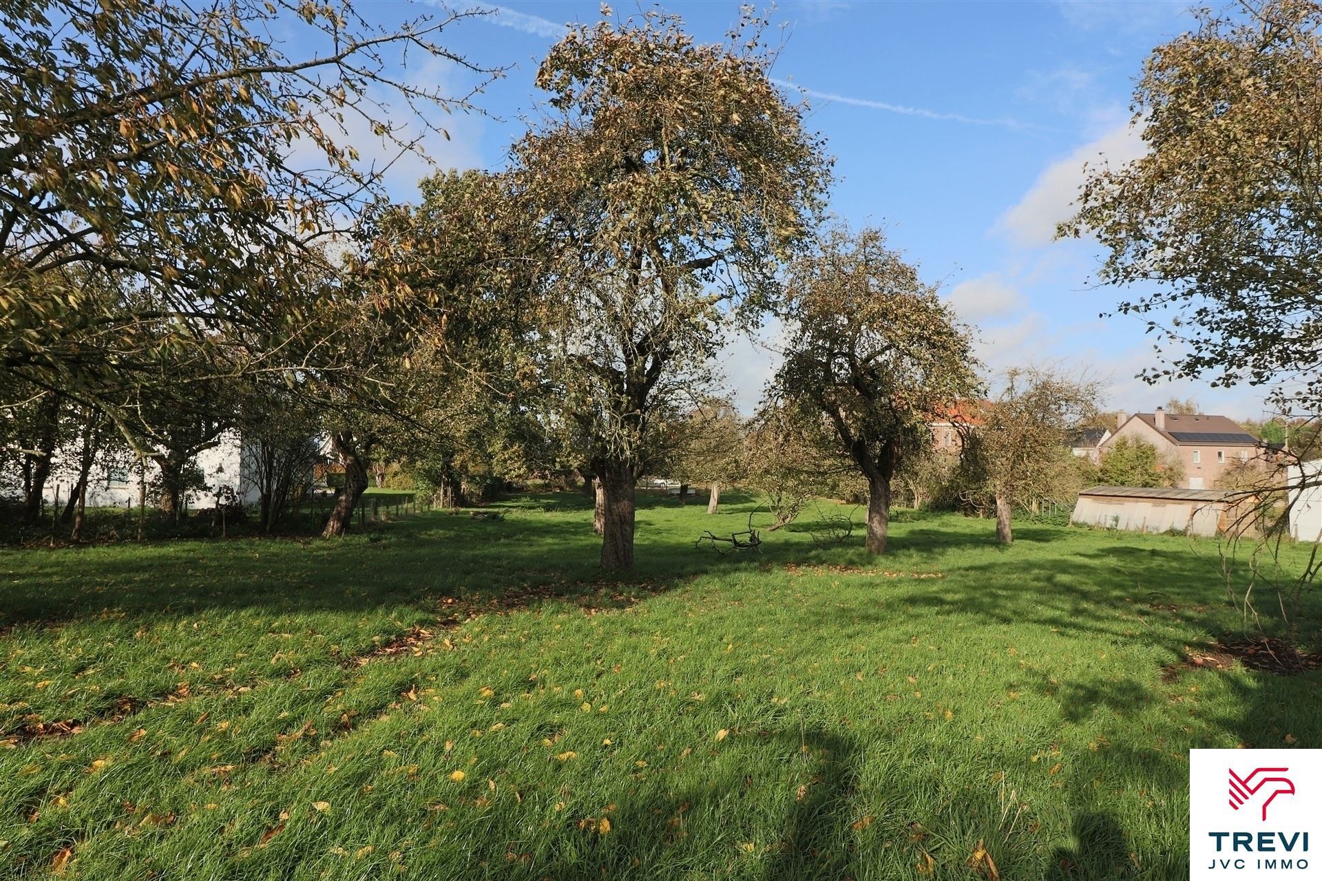 Land for sale in Oreye - photo 4