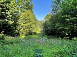 Grond te koop in 's-Gravenbrakel