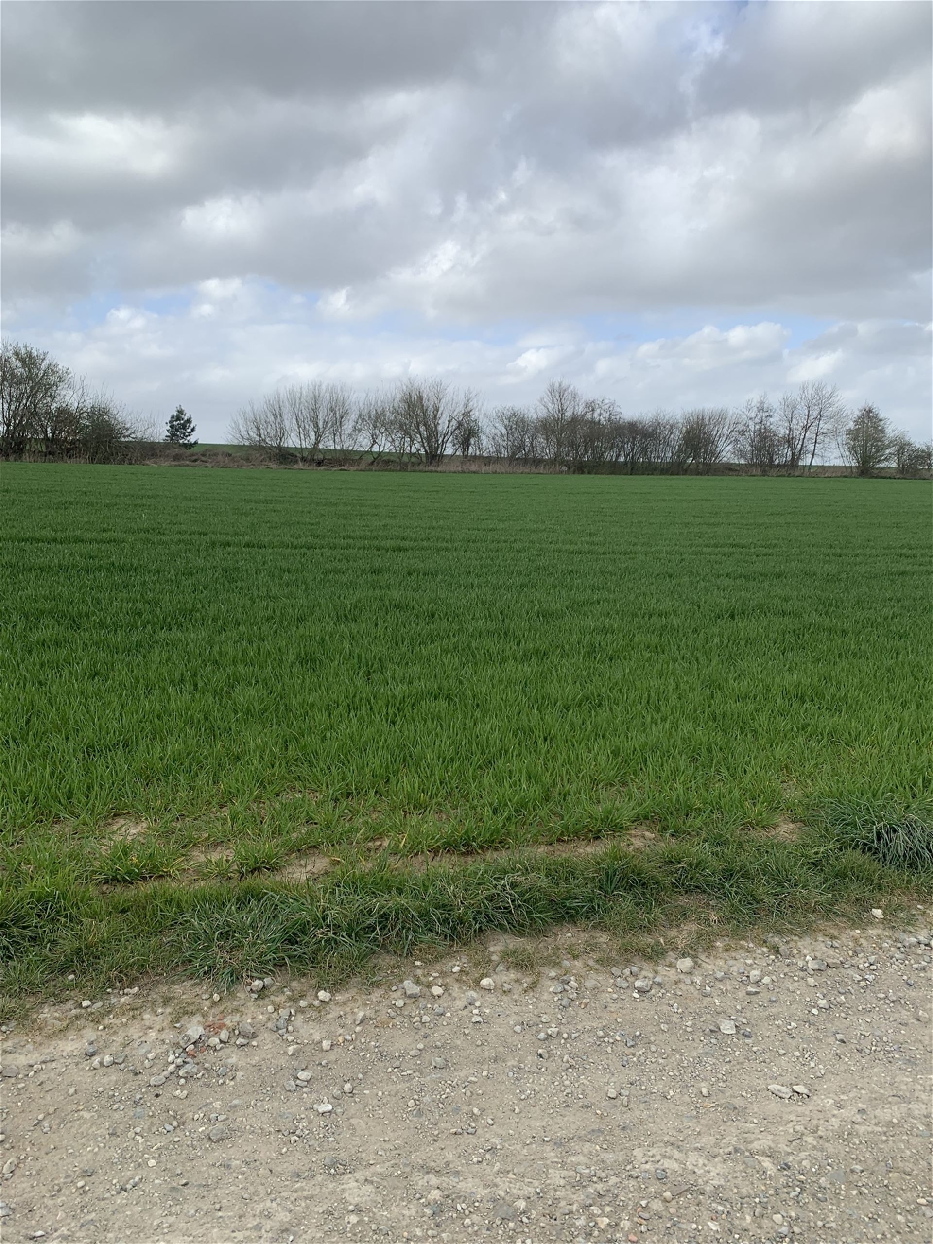 Terrain à bâtir - photo 5