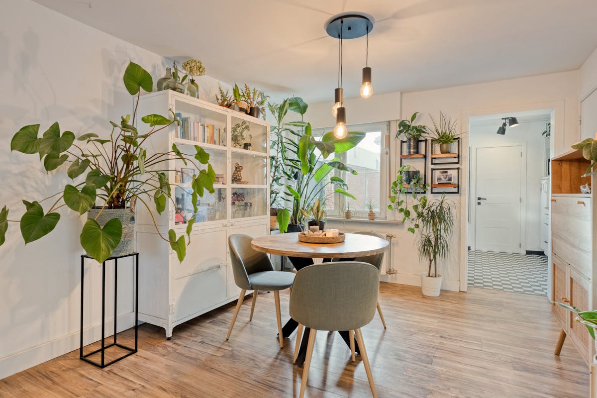 Maison de 2 chambres à vendre dans le centre de Stabroek ! - photo 5