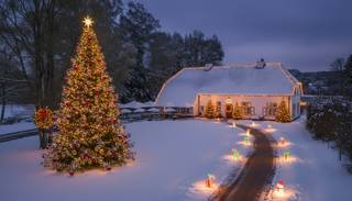 Magnifique domaine viticole situé au calme à Herselt sur un terrain d'environ 5,1 hectares. Le domaine comprend plusieurs bâtiments, dont une...