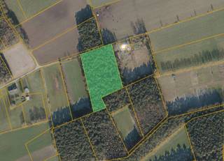 Perceel bosgrond van 1ha 35a 50ca gelegen aan de Grote Hoefstraat te Linde-Peer.